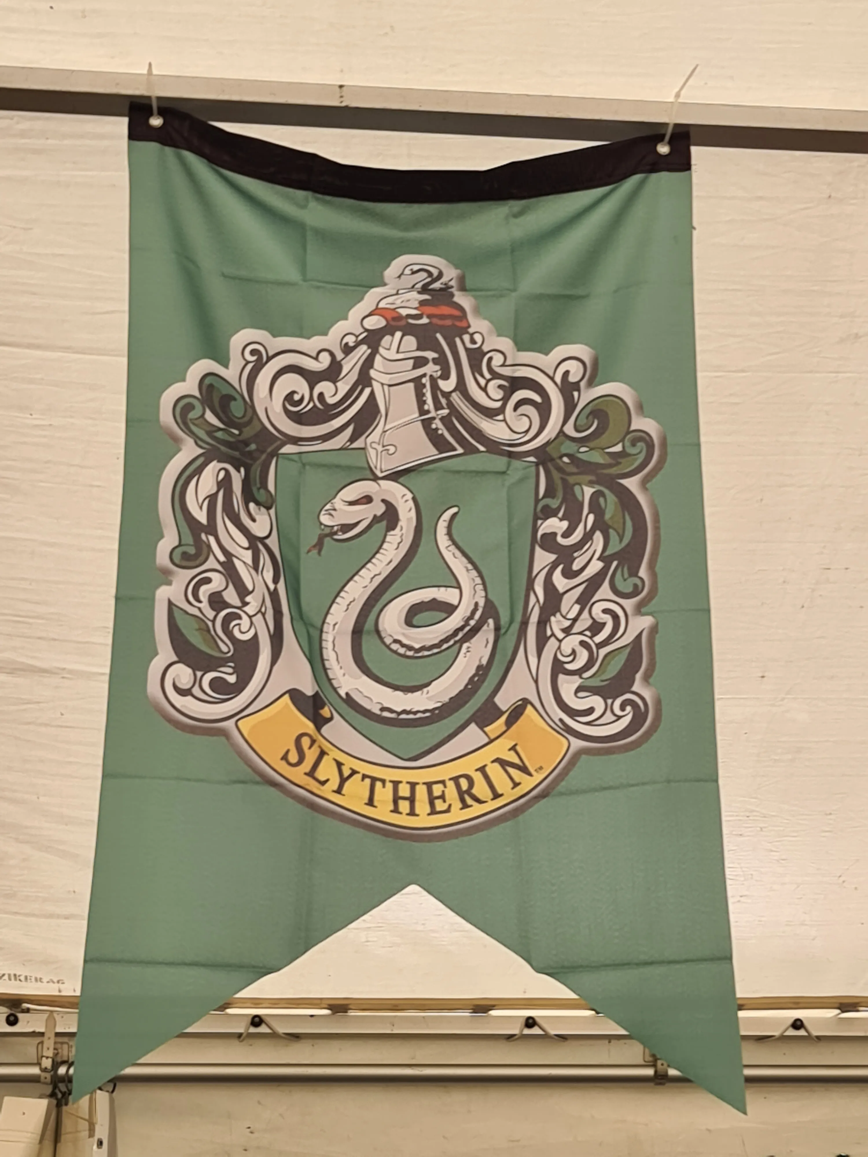Slytherin Banner